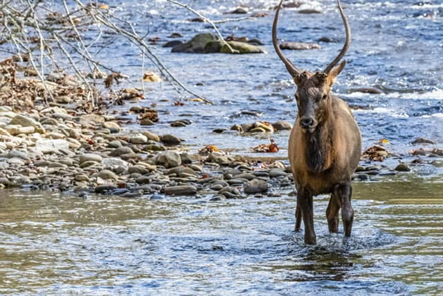 Unique things to do in the mountains: Photography Tour