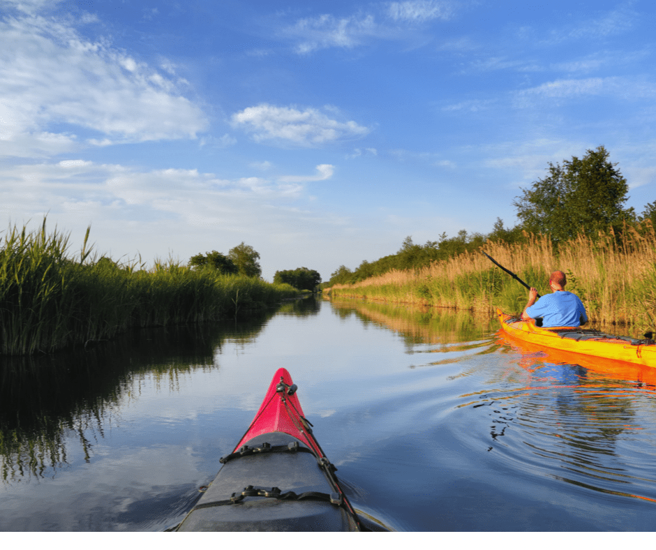 Things To Do in the Outer Banks: Alligator River Wildlife Refuge