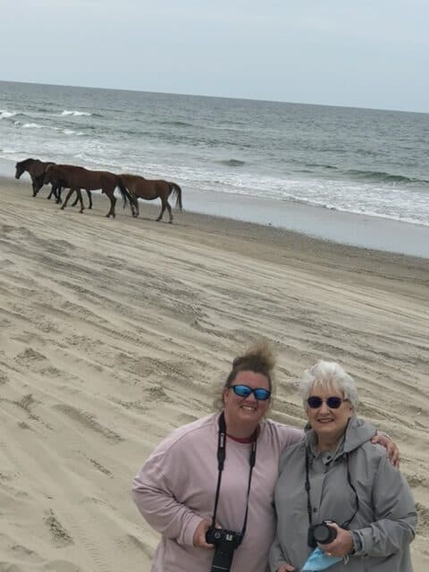 Things To Do In The Outer Banks: See The Wild Horses