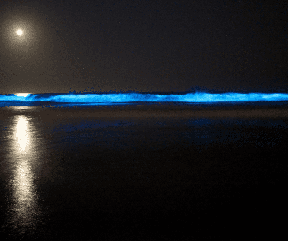 Things To Do In The Outer Banks: Nighttime Kayaking