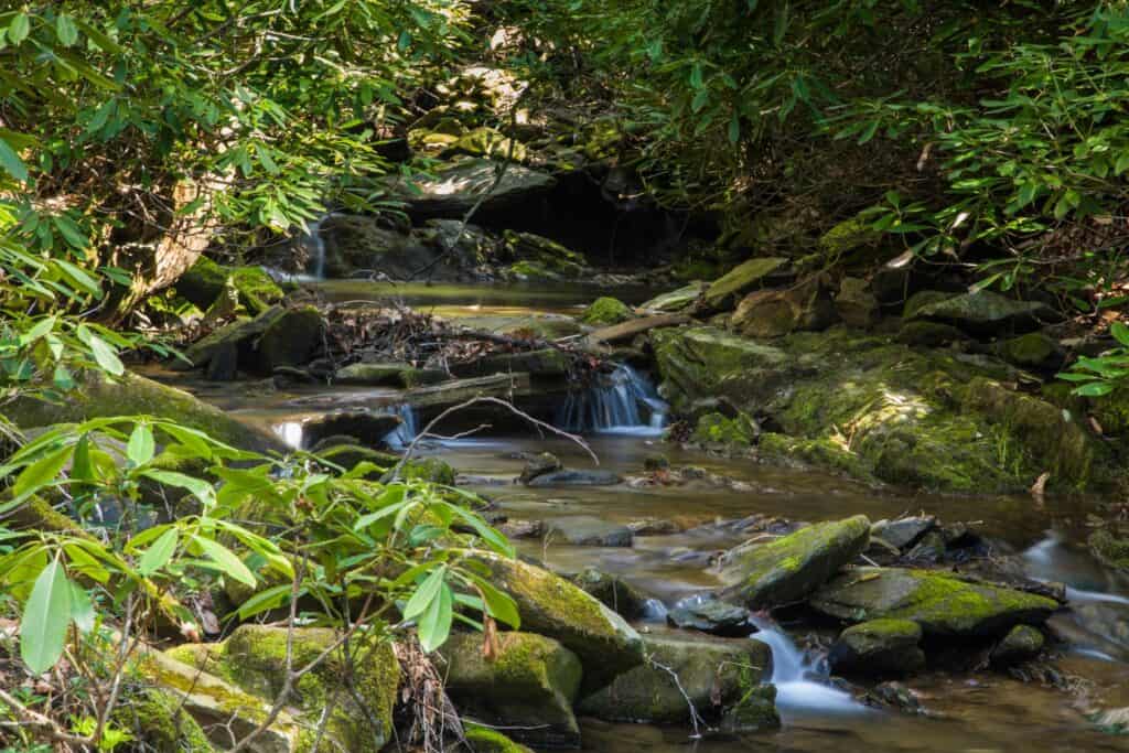 Glen Burney Falls Hike: Things To Do In Boone