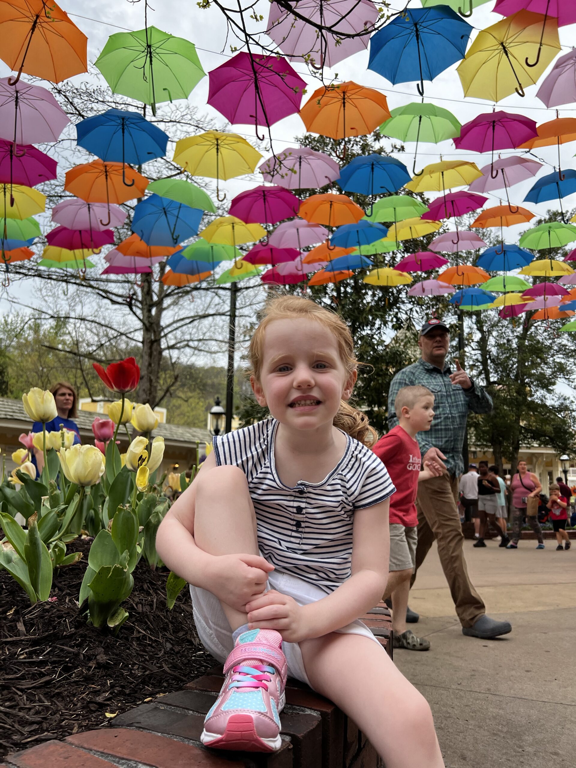 Flower and Food Festival