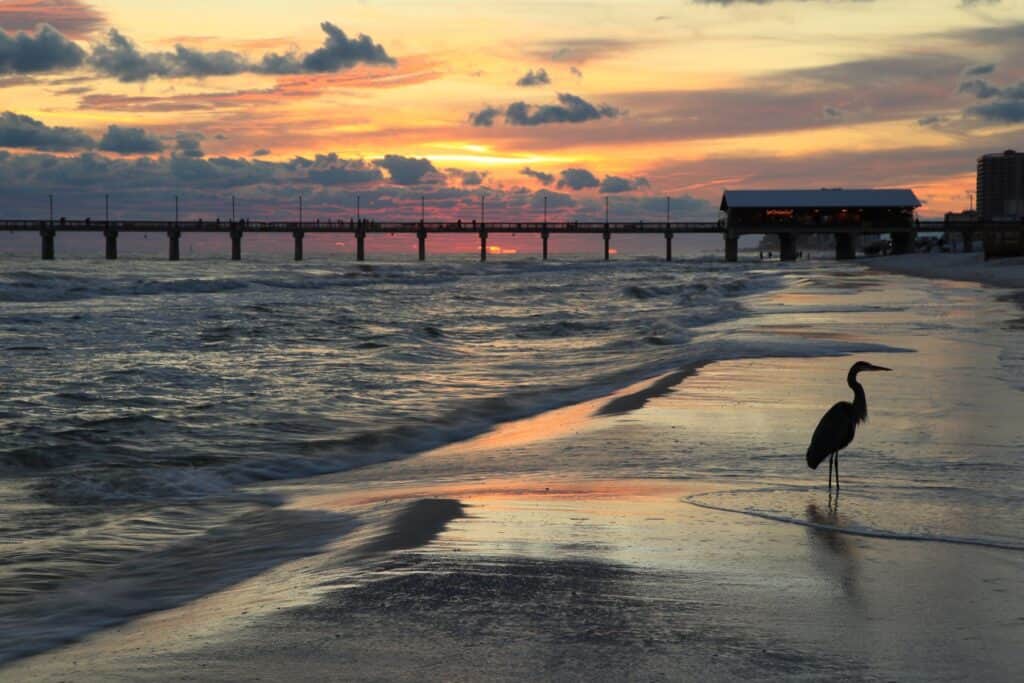 Orange Beach